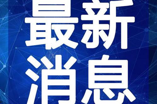 小南最新爆料微博视频,独家爆料背后的惊人真相