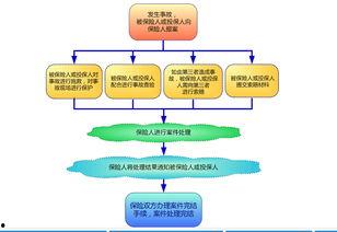 平安理赔爆料流程视频教程,视频教程全面解析爆料步骤