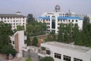 内乡一高最新爆料,揭秘校园风云背后的故事