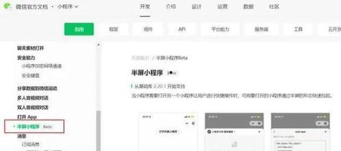 小程序一点最新爆料,揭秘小程序行业新动态与趋势