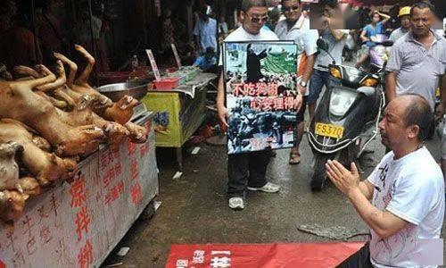 嘉善宠物店爆料事件视频,视频揭露惊人内幕
