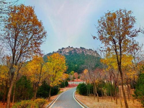 初冬爆料视频大全集,视频大全集精彩瞬间回顾